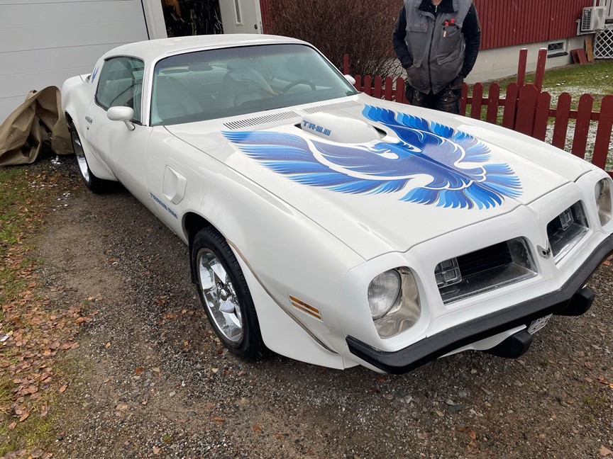 Bilar Säljes | Pontiac Firebird 1975